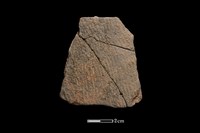 藏品(陶片)的圖片